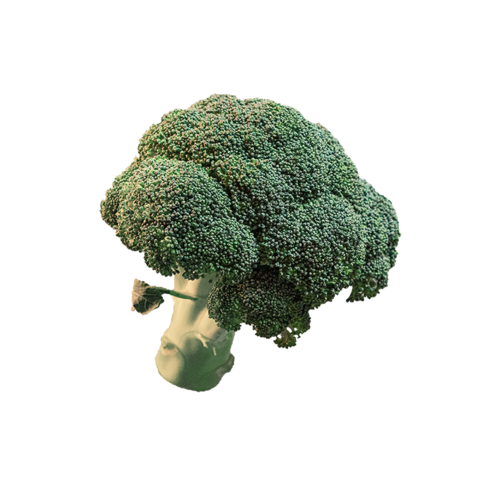Alete bewusst Gemüse Zutat Brokkoli