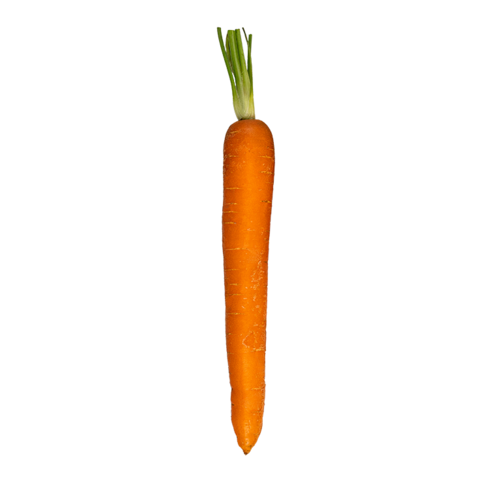 Alete bewusst Gemüse Zutat Karotte