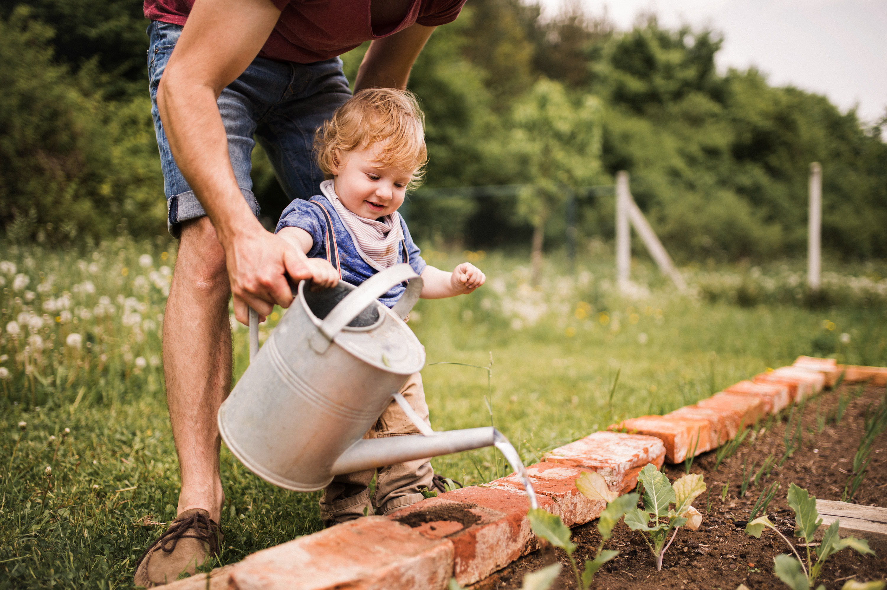Alete bewusst Baby mit Vater im Garten